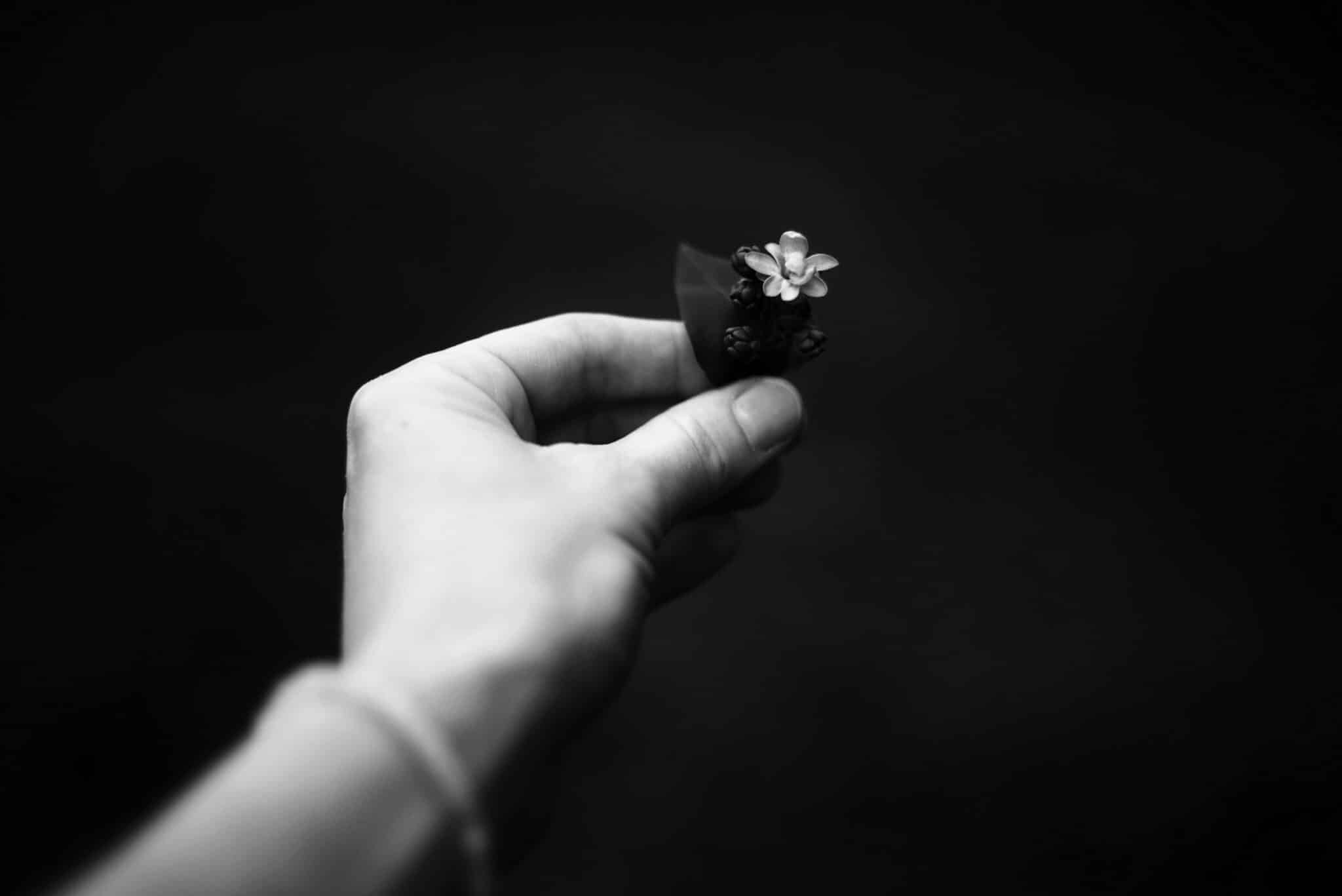 main tenant une fleur symbolisant le soin a distance